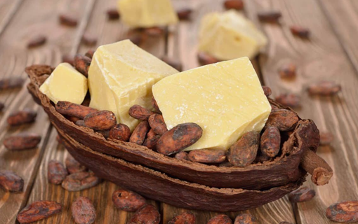 Cocoa Butter in Chocolate Making: The Science of Smoothness